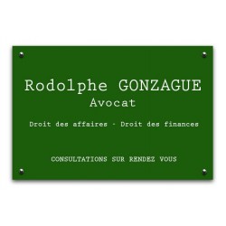 Plaque classique VERT 30 x...